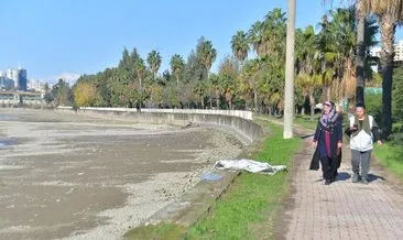 Yer Adana: Seyhan Nehri’nin kenarında ilginç görüntü!