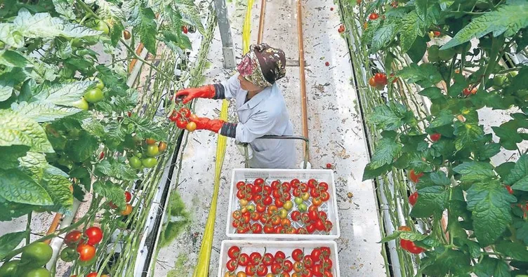 Çiftçinin yüzü kredi ile güldü