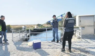 Çevre katliamına sıfır tolerans