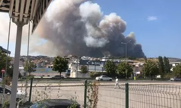 Bursa’da orman yangını kontrol altına alındı #bursa