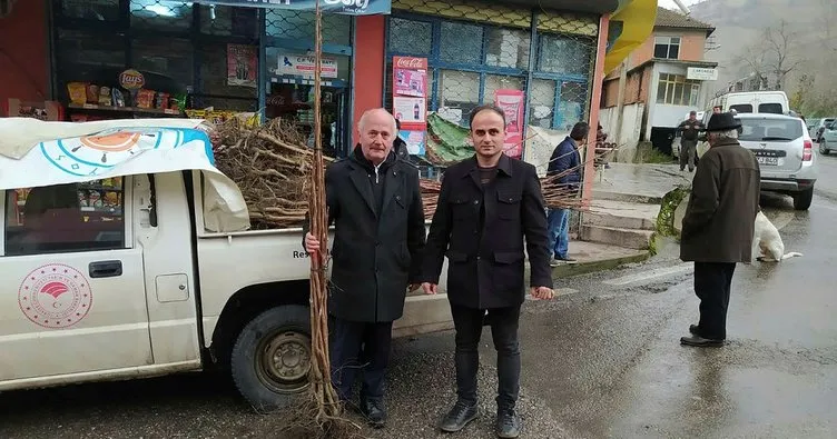 Çaycuma’da çiftçilere 650 adet Trabzon Hurması fidanı verildi