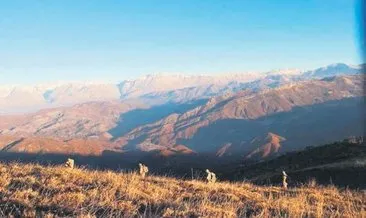 PKK’nın ‘mağara hastanesi’ imha edildi #tunceli