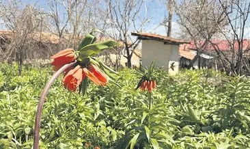 Tarihi göçün hüzünlü yolcuları #denizli