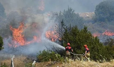 SON DAKİKA... Sakarya’dan yükselen alevler Bilecik’e sıçramıştı: 2 bin hektarın kül olduğu yangın bakın neden çıkmış! #sakarya