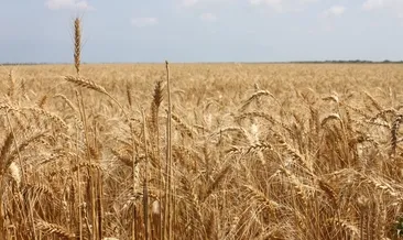 Sağlıklı toprak için seferberlik