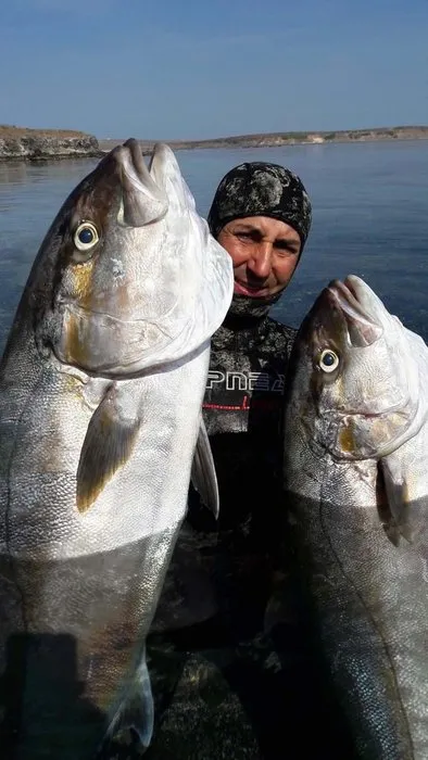 Tüpsüz dalışta Türkiye’nin en büyüğünü avladı