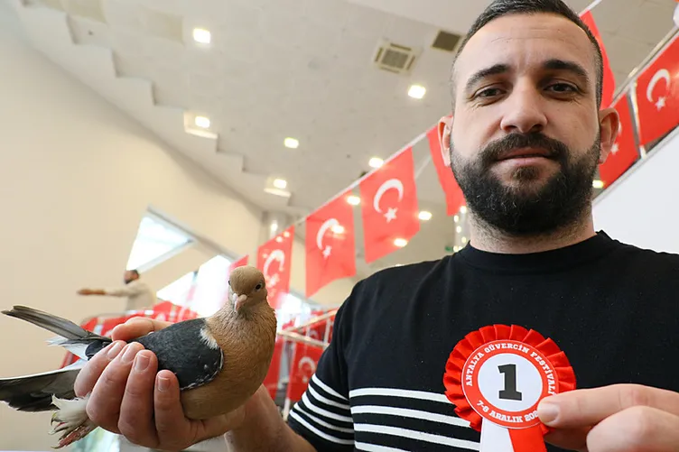 Bu güvercinler servet değerinde: Fiyatları 500 bin ile 1 milyon TL arasında değişiyor!