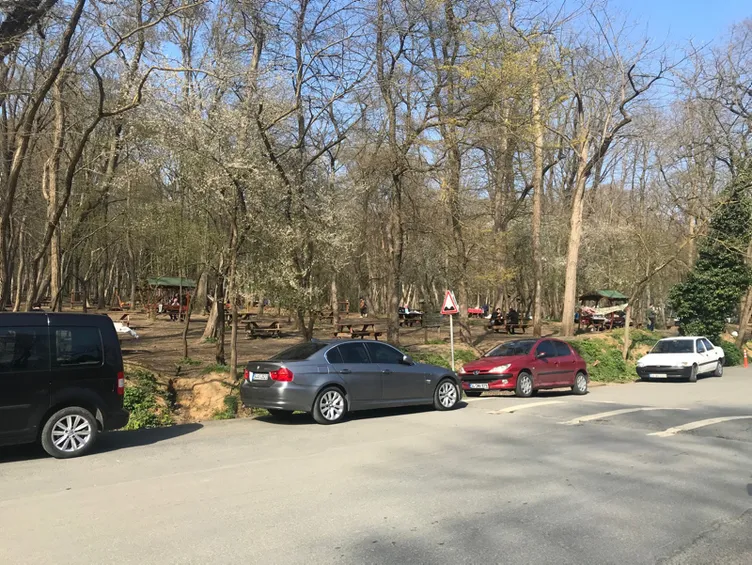 Son dakika: Koronavirüs uyarısını dinlemeyip Belgrad Ormanı'na akın ettiler