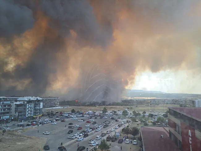SON DAKİKA | Çanakkale’de korkutan orman yangını: Şehir duman altında, üniversite tahliye ediliyor!