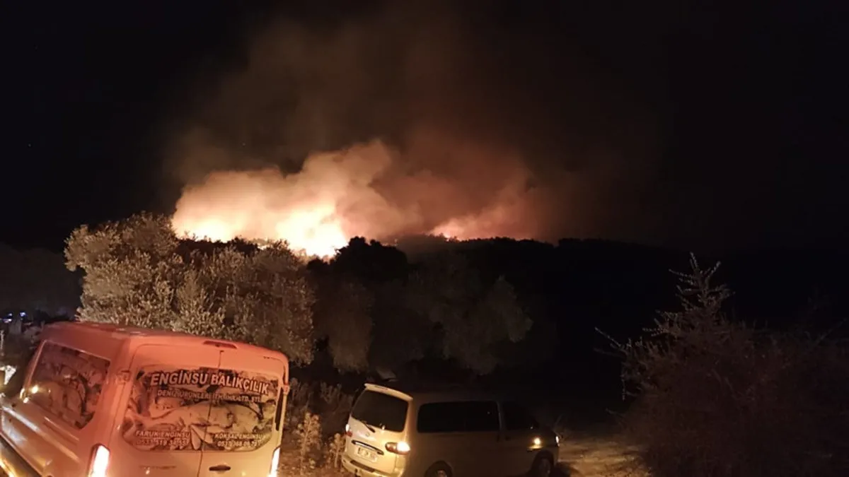 Muğla’da orman yangını!