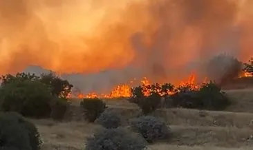 Mardin’de ormanlık alanda yangın!