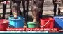 Zonguldak'ın emektar katırları emekli oldu | Video