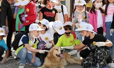 Türkiye’nin en büyük doğal yaşam pati evi Kayseri’de... 15 bin metrekare alanda köpekler rehabilite ediliyor