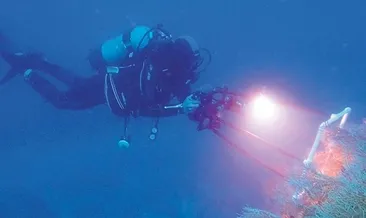 Sivriada’dan Hayırsızada’ya mercan nakli