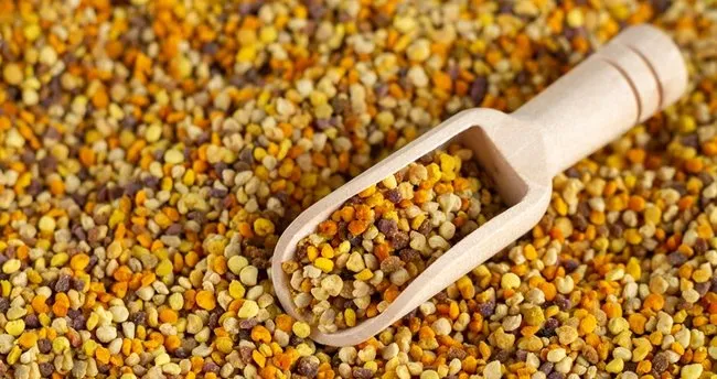 Propolis Nasıl Tüketilir? Tane Propolis Yenir Mi, Nasıl Kullanılır?