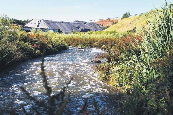 Bakanlık harekete geçti! Riva’yı katleden İSKİ’ye ceza kesildi...