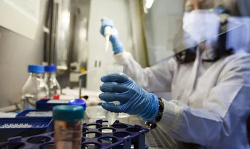 Türkiye kök hücre naklinde dünya liderliğine koşuyor! Dünya Sağlık Örgütü referans aldı