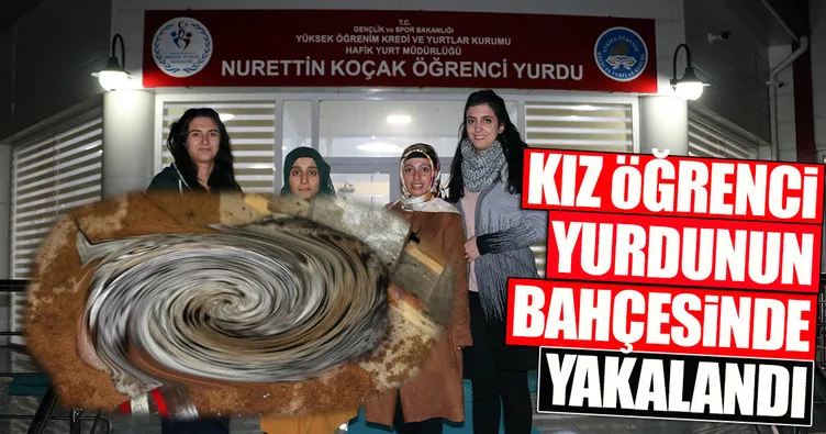 Öğrenci yurdunun bahçesinde yavru vaşak yakalandı