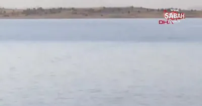 Son dakika haberi | ’Van Gölü’ndeki esrarengiz yaratığın görüntüleri korkuttu | Video