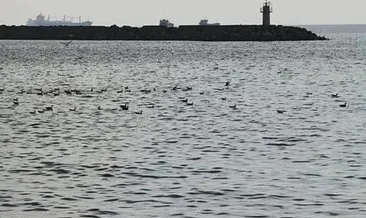 Tekirdağ'ın Saray ilçesinde tüm plajlarda 2 gün denize girmek yasaklandı #tekirdag