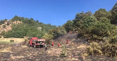Bingöl'de orman yangını büyümeden söndürüldü #bingol