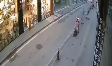 Şaşkın tilki caddelerde