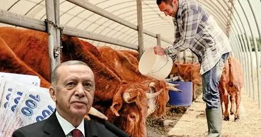 Hayvancılık yapanlara yüzde 70 ek destek! Başkan Erdoğan açıkladı! ’KDV’den muaf olacak’