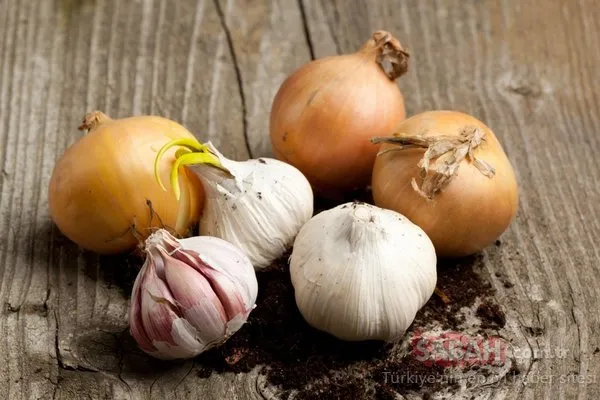Doğal antibiyotik etkisi gösteriyor! İşte en şifalı besinler...