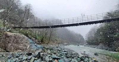 Dere yatağında define aradılar #artvin