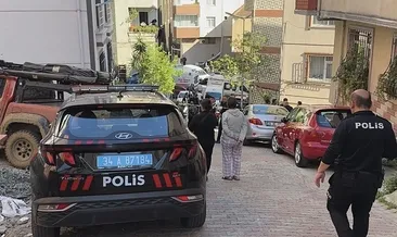 Kaynana damadını öldürdü