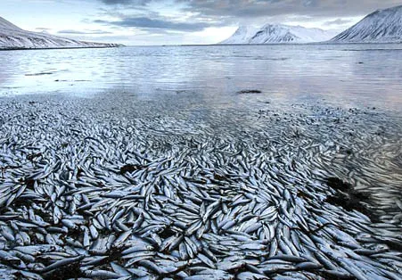 16 bin bilim insanından çevre felaketi uyarısı