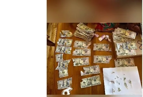 Sosyal medyada olay oldu: 127 bin TL'yi tek seferde yiyen o köpek! Sahipleri dışkısından tek tek banknotları...