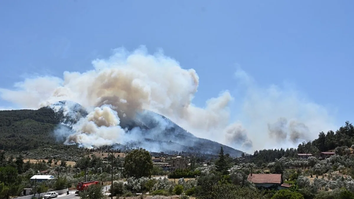 İzmir’in Menderes ve Seferihisar ilçelerinde orman yangını İzmir’in Menderes ve Seferihisar ilçelerinde orman yangını