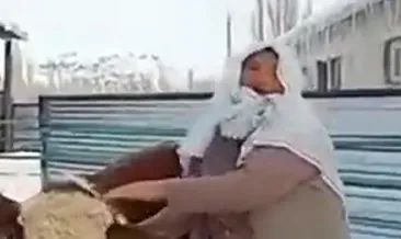 Depremzedelere yardım için boğasını sattı