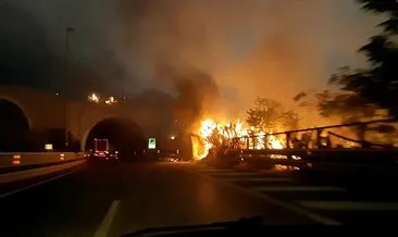 İtalya’daki orman yangınlarında 4 kişi hayatını kaybetti