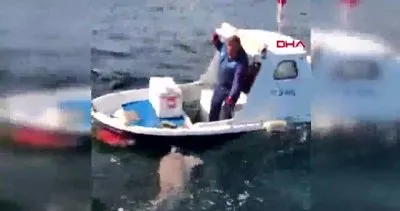 Çanakkale’de oltaya takılan 2,5 metrelik köpek balığı kamerada