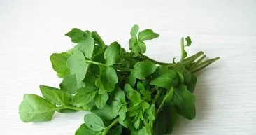 Kışın sağlık için roka ve tere tüketin!