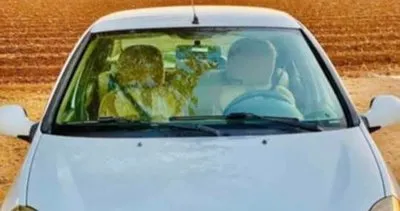 Şanlıurfa’da otomobil hırsızlığı! #sanliurfa