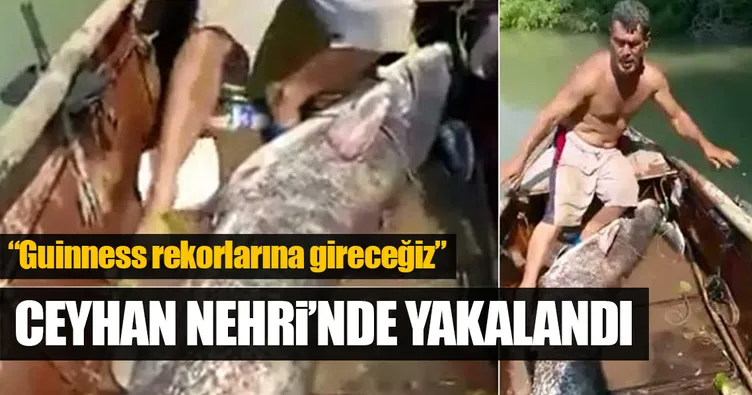 Ceyhan Nehri’nde dev yayın balığı yakalandı