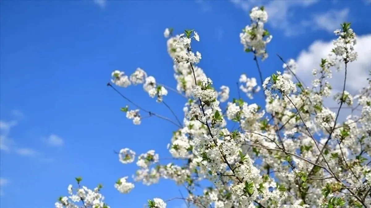 Cemre düşme tarihleri 2026: Havaya, suya, toprağa sırasıyla cemre ne zaman düşecek?