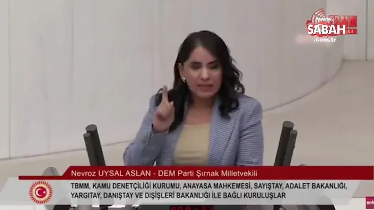 DEM Parti Milletvekili'nden skandal açıklama: 