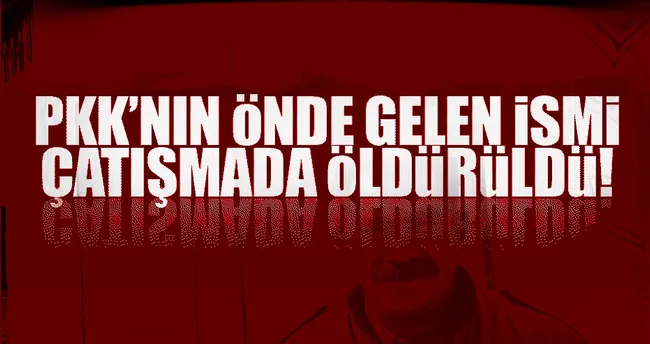 PKK’nın Tunceli’deki 2 numarası öldürüldü