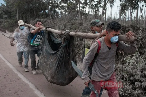 Korkunç görüntüler ortaya çıktı