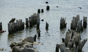 Van Gölü’nde yüz yıllık balıkçı iskelesi ortaya çıktı