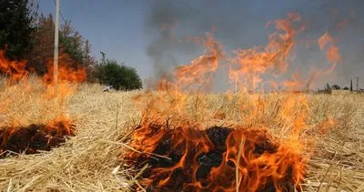 Anız yangınları doğa ve toprağı tehdit ediyor