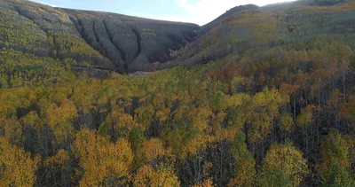Sonbahar renkleriyle hayran bıraktı...