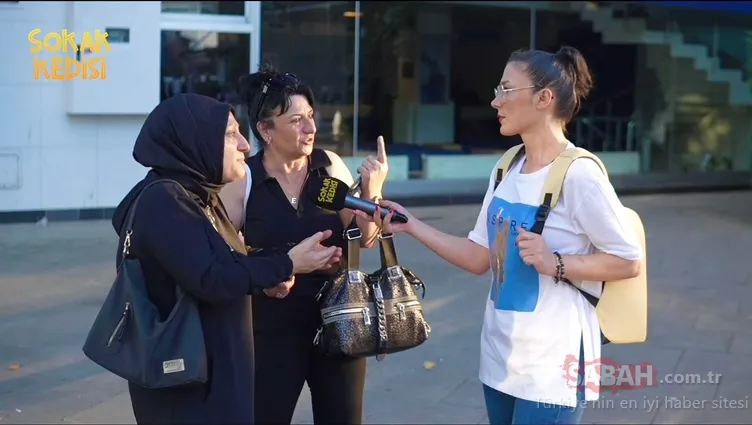 Sokak kedisi değil, provokatör!