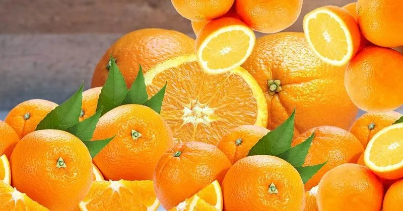 ruyada portakal gormek ne anlama gelir ruyada portakal yemek tabiri anlami ruya tabirleri haberleri