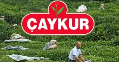 ÇAYKUR 1.500 işçi alımı başvuru şartları 2025: İŞKUR ÇAYKUR işçi alımı ne zaman, hangi illerde yapılacak?