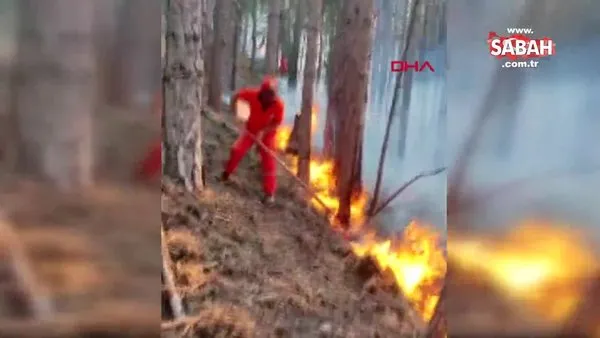 Mersin'deki orman yangını, 4'üncü günde tamamen kontrol altında | Video
